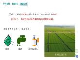3.5 课时2  生态系统的稳定性   课件 2023-2024学年高二生物人教版（2019）选择性必修2