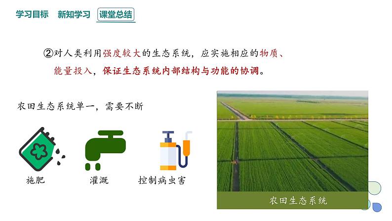 3.5 课时2  生态系统的稳定性   课件 2023-2024学年高二生物人教版（2019）选择性必修2第5页