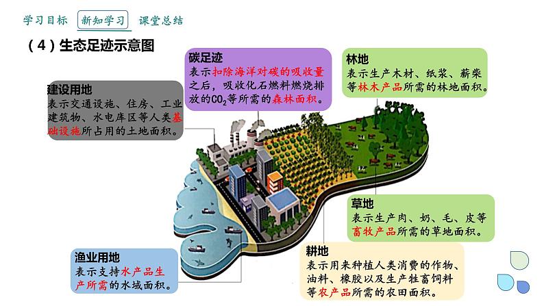 4.1 人类活动对生态环境的影响   课件 2023-2024学年高二生物人教版（2019）选择性必修206