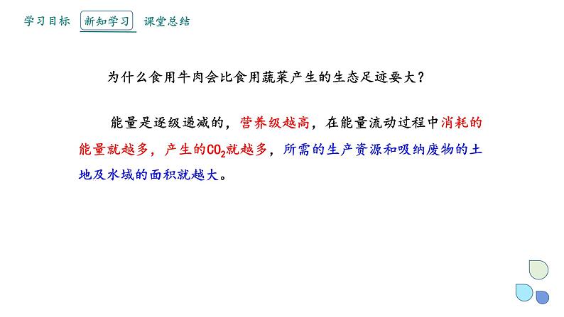 4.1 人类活动对生态环境的影响   课件 2023-2024学年高二生物人教版（2019）选择性必修207