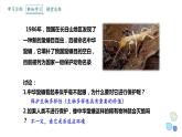 4.2 生物多样性及其保护   课件 2023-2024学年高二生物人教版（2019）选择性必修2