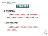 4.2 生物多样性及其保护   课件 2023-2024学年高二生物人教版（2019）选择性必修2