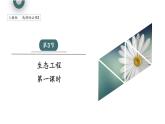 4.3 课时1  生态工程   课件 2023-2024学年高二生物人教版（2019）选择性必修2