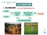 4.3 课时1  生态工程   课件 2023-2024学年高二生物人教版（2019）选择性必修2
