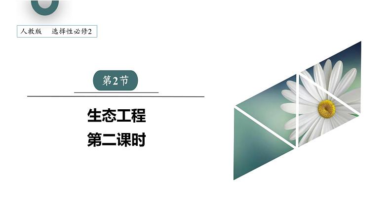 4.3 课时2  生态工程    课件 2023-2024学年高二生物人教版（2019）选择性必修2第1页