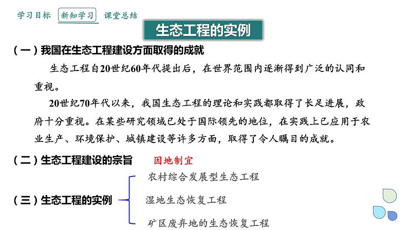 4.3 课时2  生态工程    课件 2023-2024学年高二生物人教版（2019）选择性必修2第3页