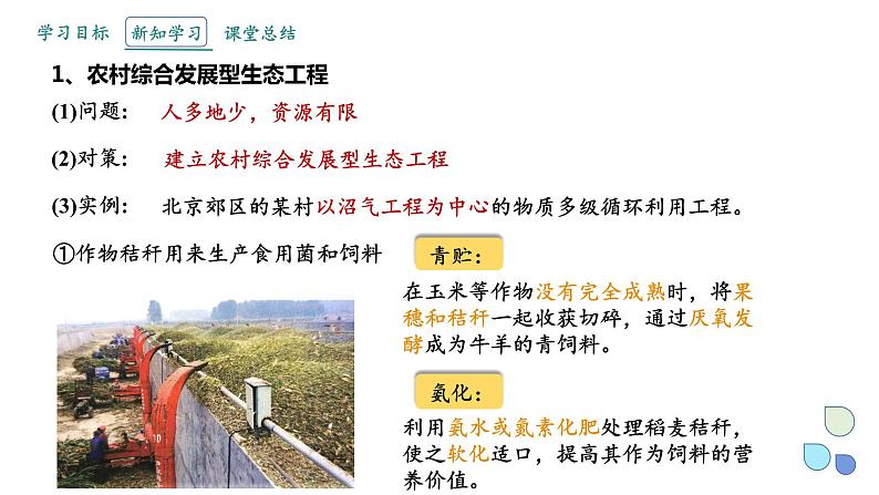 4.3 课时2  生态工程    课件 2023-2024学年高二生物人教版（2019）选择性必修2第4页