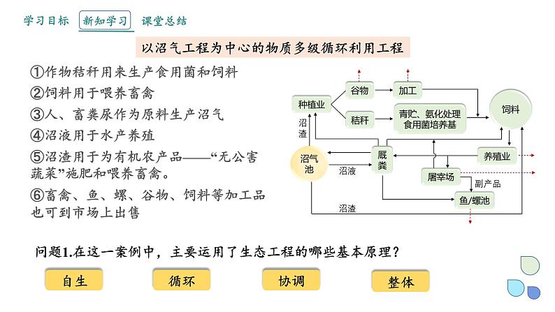 4.3 课时2  生态工程    课件 2023-2024学年高二生物人教版（2019）选择性必修2第5页