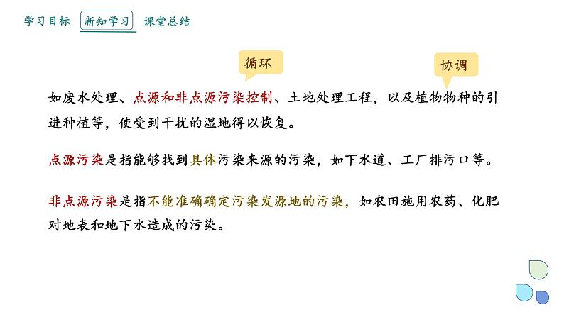 4.3 课时2  生态工程    课件 2023-2024学年高二生物人教版（2019）选择性必修2第8页