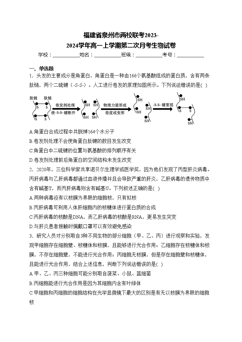 福建省泉州市两校联考2023-2024学年高一上学期第二次月考生物试卷(含答案)01