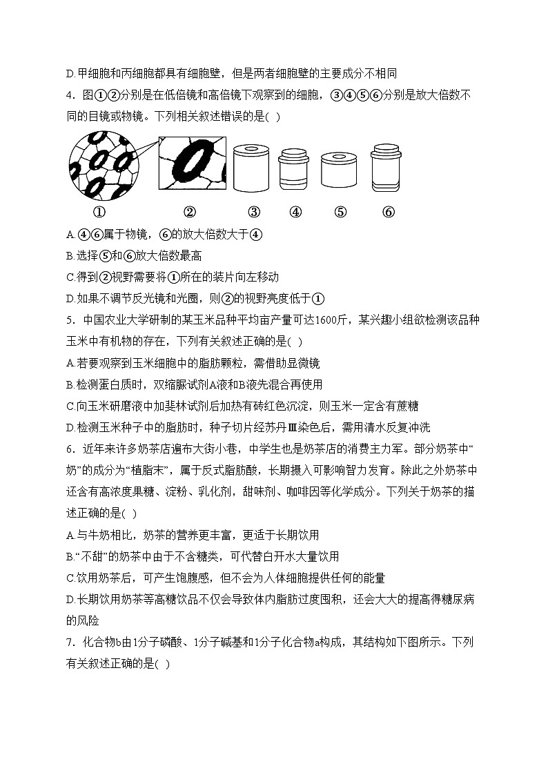 福建省泉州市两校联考2023-2024学年高一上学期第二次月考生物试卷(含答案)02