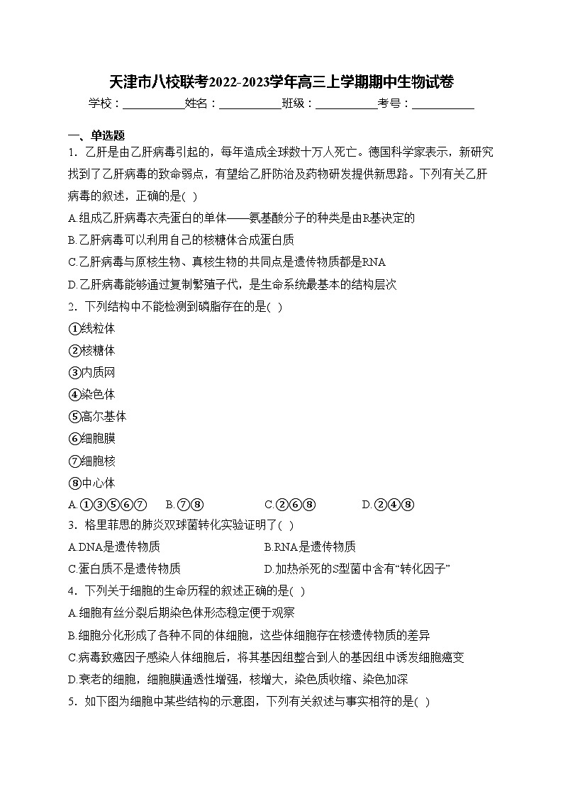 天津市八校联考2022-2023学年高三上学期期中生物试卷(含答案)01