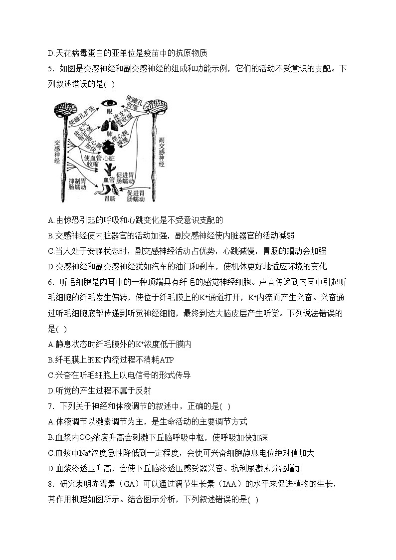 新疆维吾尔自治区乌鲁木齐市重点中学2022-2023学年高二上学期期中生物试卷(含答案)02