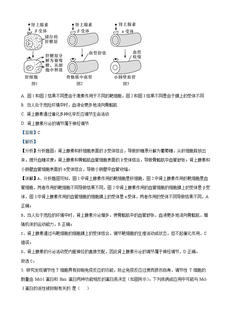 湖南省长沙市长郡中学2021-2022学年高二上学期期末生物试题1（解析版）第3页