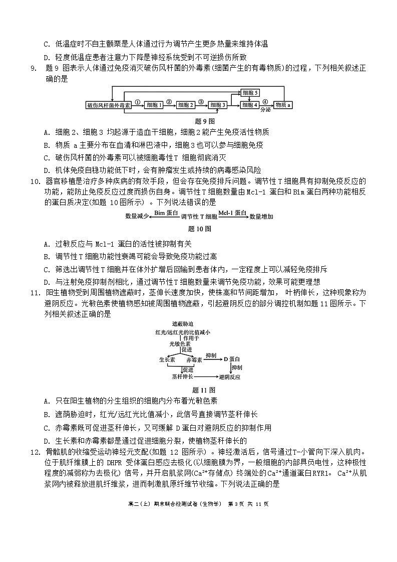 2024重庆市高二上学期1月期末考试生物无答案第3页