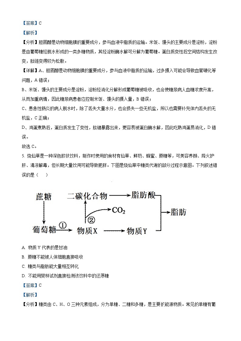 湖北省武汉市东湖中学2023-2024学年高一上学期1月月考生物试题（Word版附解析）03