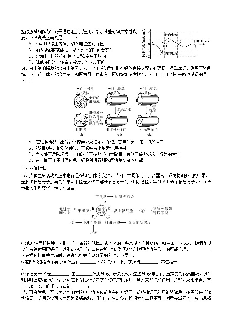 重庆市缙云教育联盟2023-2024学年高二上学期期末生物试题（Word版附答案）03
