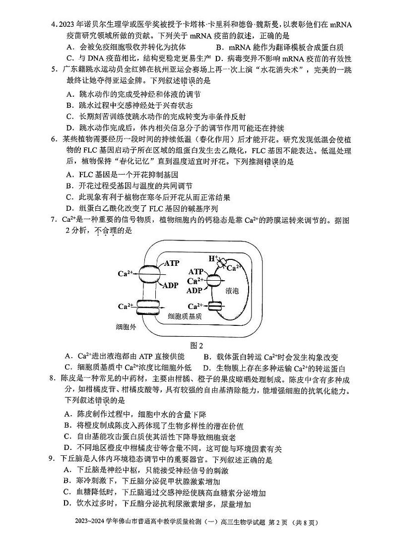 2024届广东省佛山市高三上学期普通高中教学质量检测（一）生物学(无答案)第2页