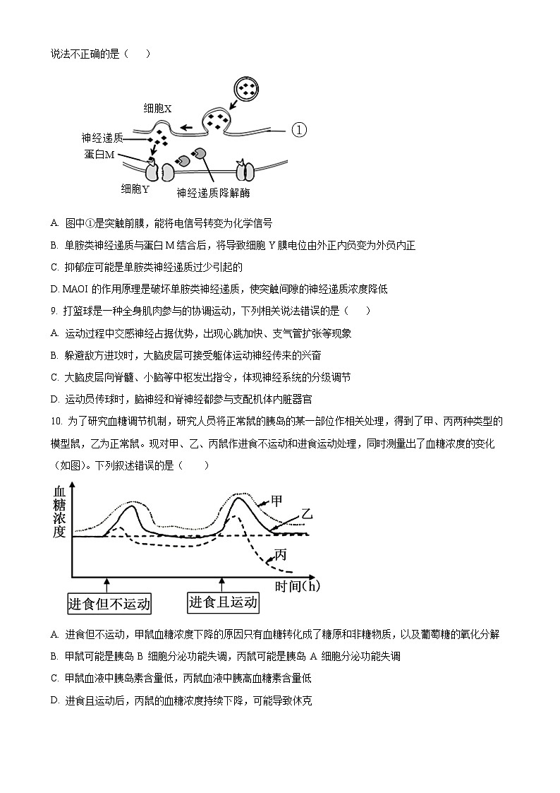 精品解析：广东省深圳市罗湖高级中学2023-2024学年高二上学期阶段性考试生物试题03