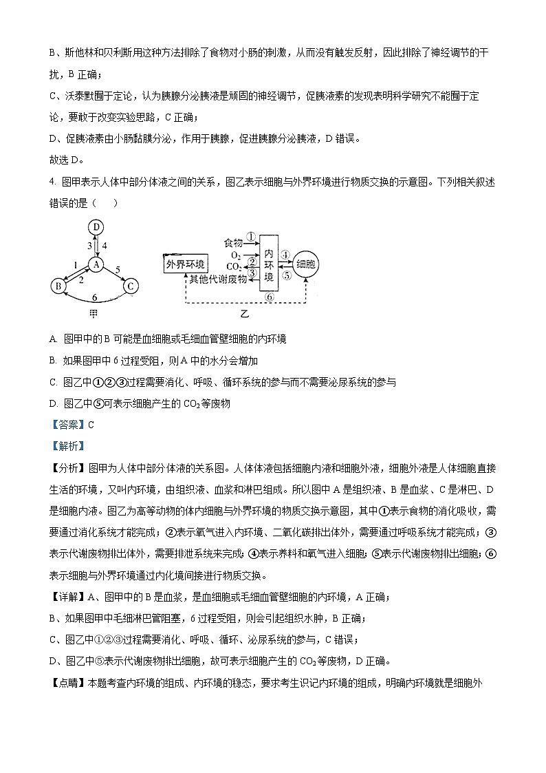 精品解析：广东省深圳市罗湖高级中学2023-2024学年高二上学期阶段性考试生物试题03