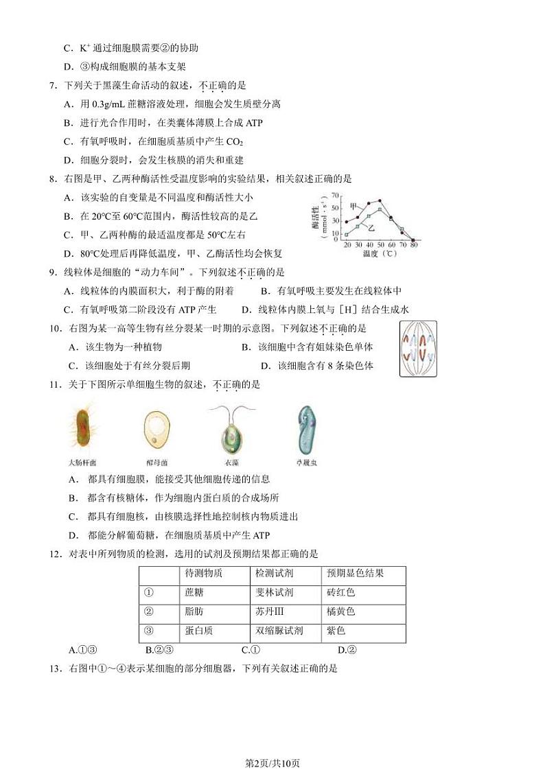 2024年北京市海淀区高一上学期期末生物试卷及答案（教师版）第2页