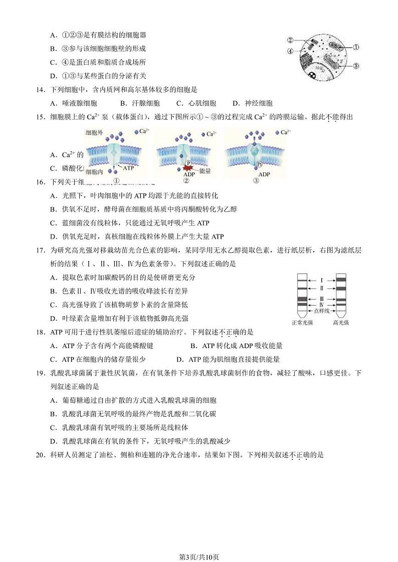 2024年北京市海淀区高一上学期期末生物试卷及答案（教师版）第3页