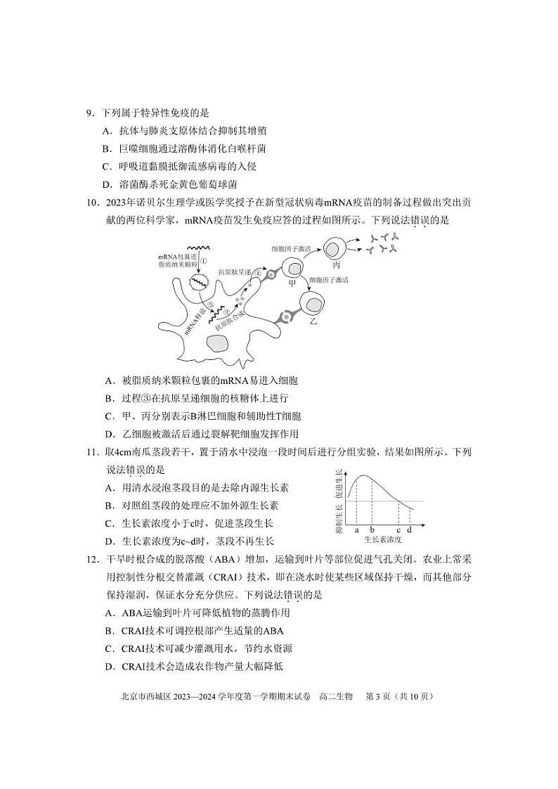 2024年北京西城区高二上学期期末生物试题及答案03