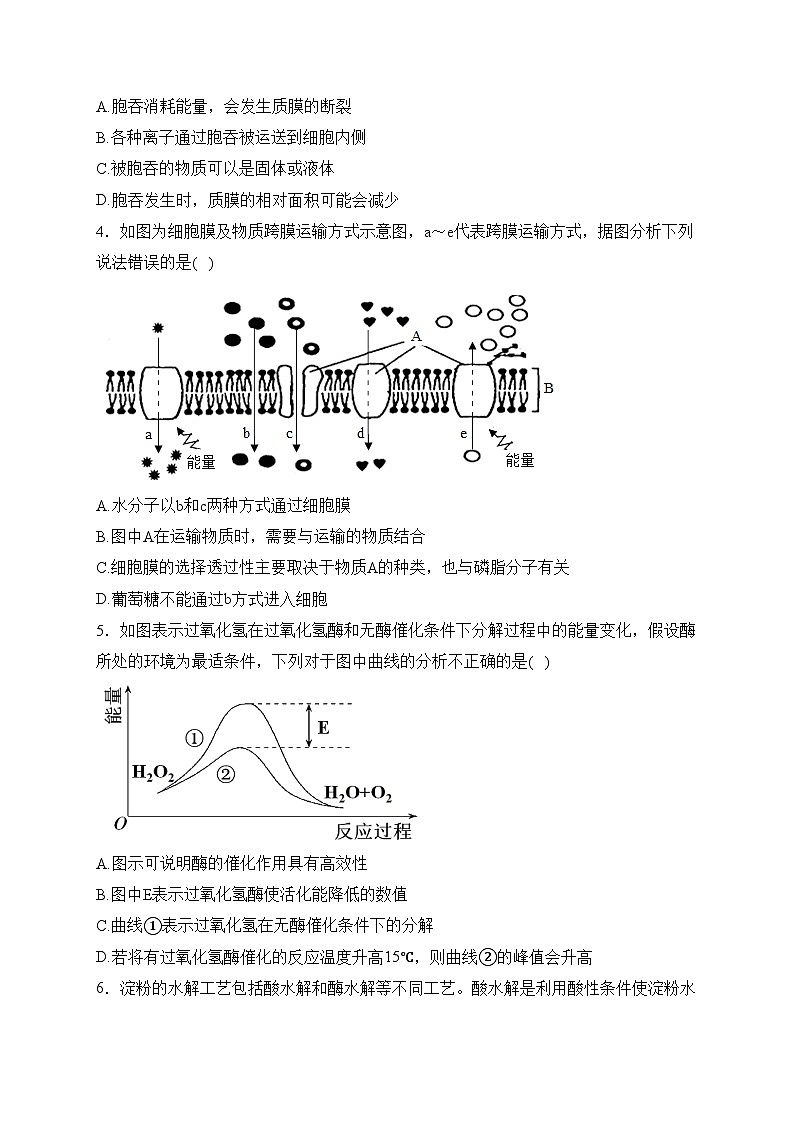 河南省洛阳市新安县一中2022-2023学年高一下学期入学考试生物试卷(含答案)02