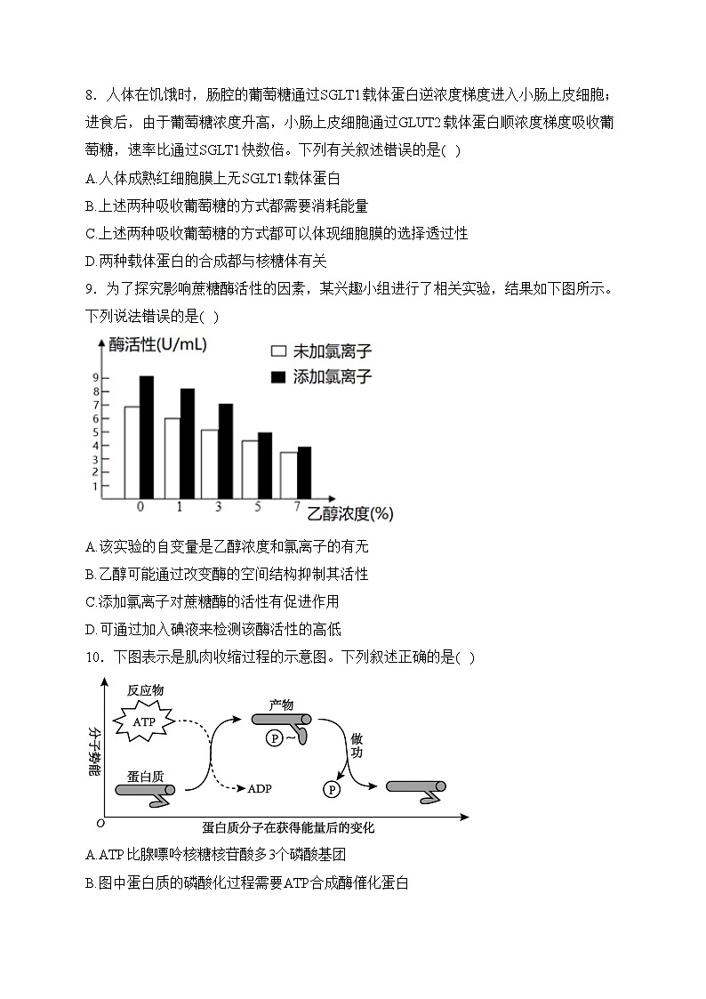 辽宁省锦州市2023-2024学年高一上学期期末考试生物试卷(含答案)03