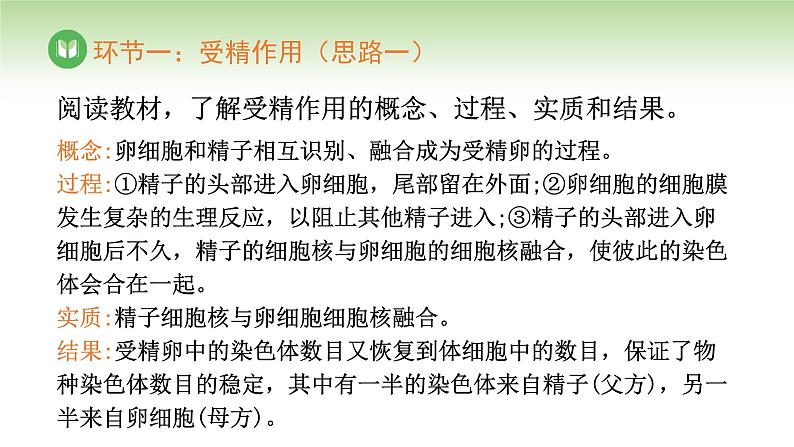 人教版高中生物必修第二册 遗传与进化  第2章 第1节 第4课时 受精作用（课件）第4页
