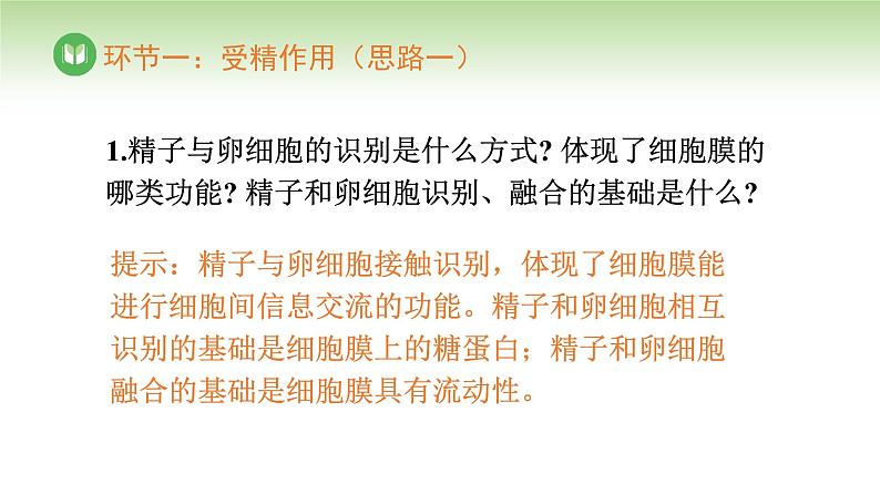 人教版高中生物必修第二册 遗传与进化  第2章 第1节 第4课时 受精作用（课件）第5页