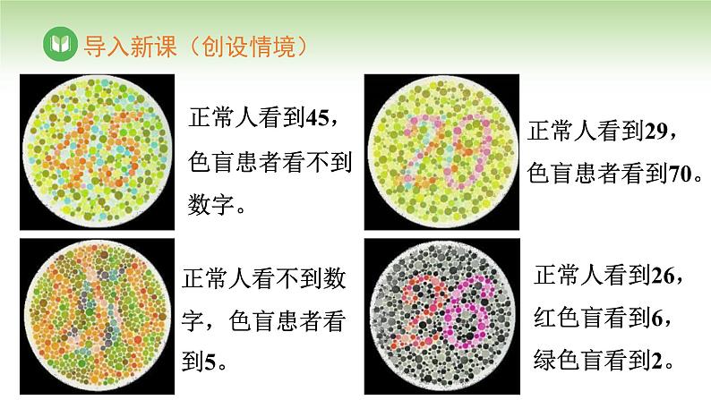 人教版高中生物必修第二册 遗传与进化  第2章 第3节 伴性遗传（课件）02