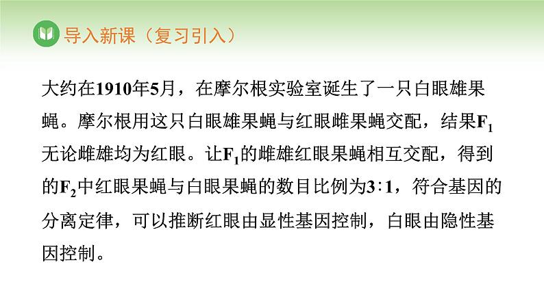 人教版高中生物必修第二册 遗传与进化  第2章 第3节 伴性遗传（课件）04