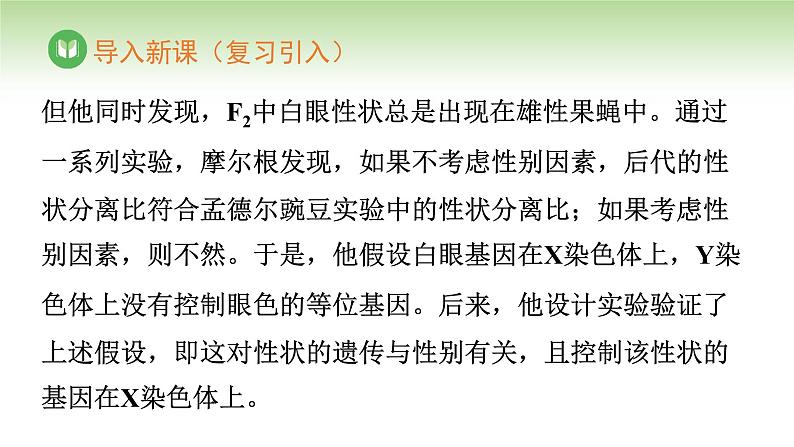 人教版高中生物必修第二册 遗传与进化  第2章 第3节 伴性遗传（课件）05