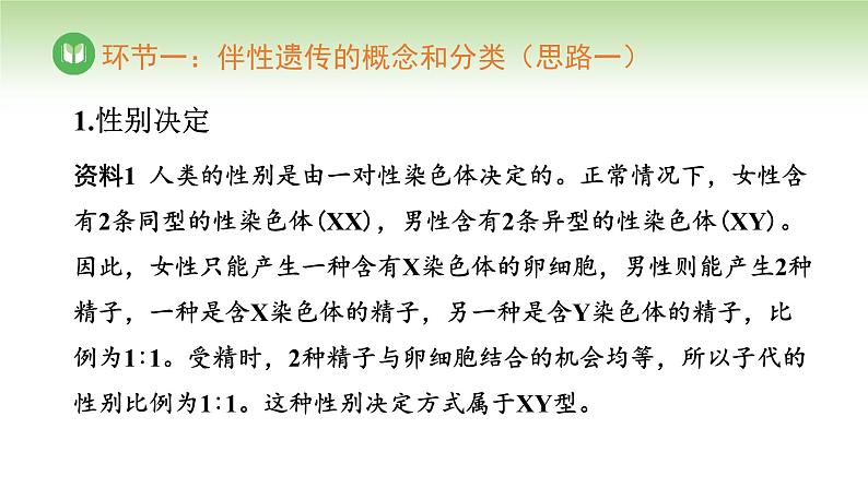 人教版高中生物必修第二册 遗传与进化  第2章 第3节 伴性遗传（课件）07