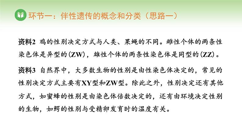 人教版高中生物必修第二册 遗传与进化  第2章 第3节 伴性遗传（课件）08