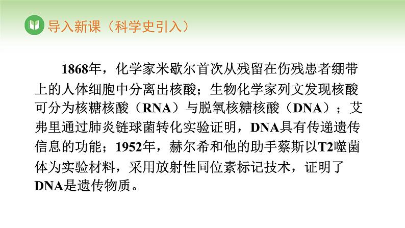 人教版高中生物必修第二册 遗传与进化  第3章 第2节 第1课时 DNA的结构（课件）04