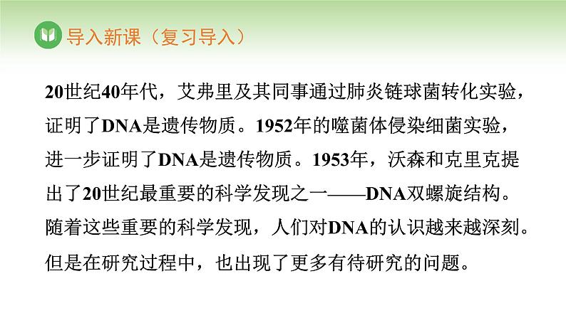 人教版高中生物必修第二册 遗传与进化  第3章 第3节 DNA的复制（课件）第2页