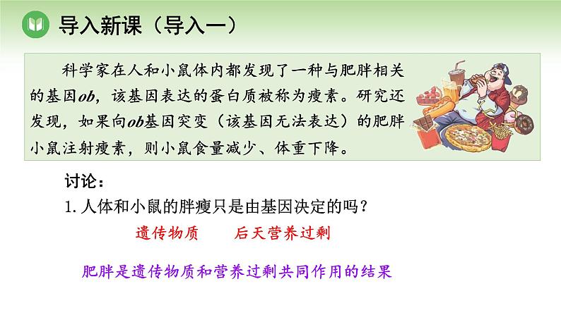 人教版高中生物必修第二册 遗传与进化  第5章 第3节 人类遗传病（课件）02