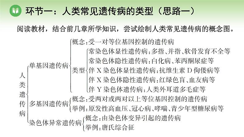 人教版高中生物必修第二册 遗传与进化  第5章 第3节 人类遗传病（课件）07