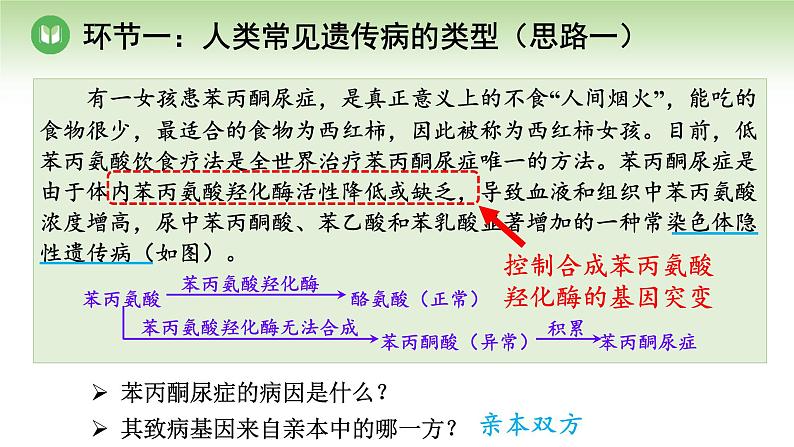 人教版高中生物必修第二册 遗传与进化  第5章 第3节 人类遗传病（课件）08