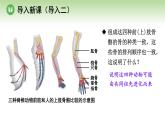 人教版高中生物必修第二册 遗传与进化  第6章 第2节 自然选择与适应的形成（课件）