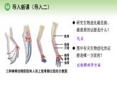 人教版高中生物必修第二册 遗传与进化  第6章 第2节 自然选择与适应的形成（课件）