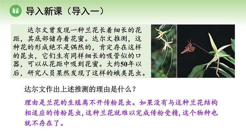 人教版高中生物必修第二册 遗传与进化  第6章 第4节 协同进化与生物多样性的形成（课件）02