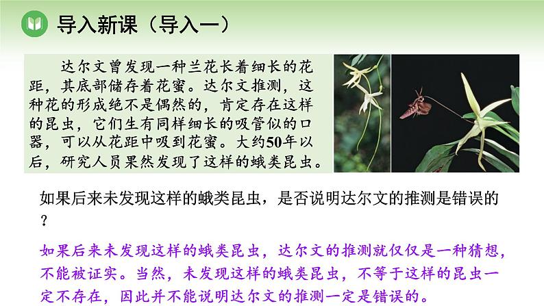 人教版高中生物必修第二册 遗传与进化  第6章 第4节 协同进化与生物多样性的形成（课件）03