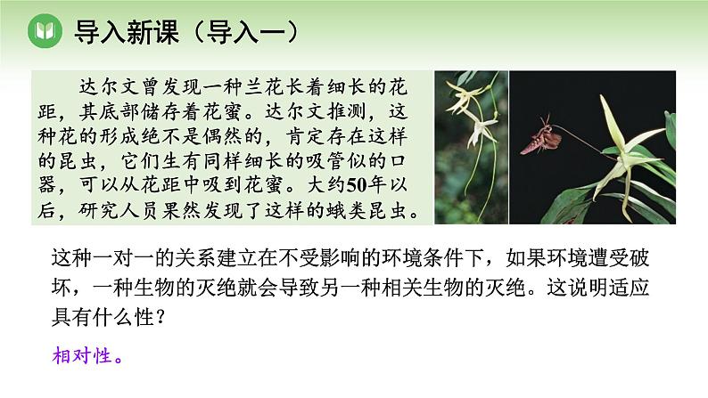 人教版高中生物必修第二册 遗传与进化  第6章 第4节 协同进化与生物多样性的形成（课件）05