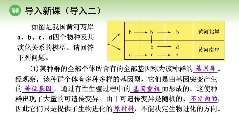 人教版高中生物必修第二册 遗传与进化  第6章 第4节 协同进化与生物多样性的形成（课件）07