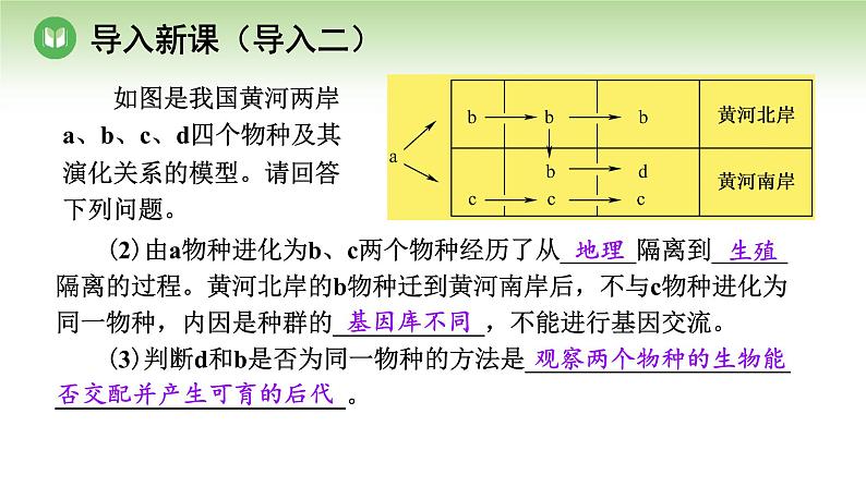 人教版高中生物必修第二册 遗传与进化  第6章 第4节 协同进化与生物多样性的形成（课件）08