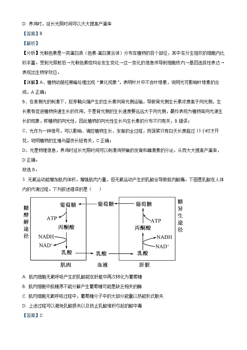 08，2024届河南省平许济洛四市高三第二次质量检测理综生物试题第2页