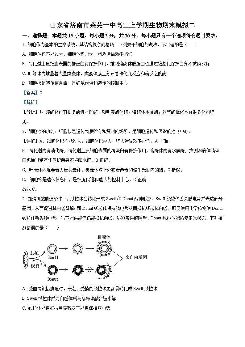 15，山东省济南市莱芜一中2023-2024学年高三上学期期末模拟生物试题第1页